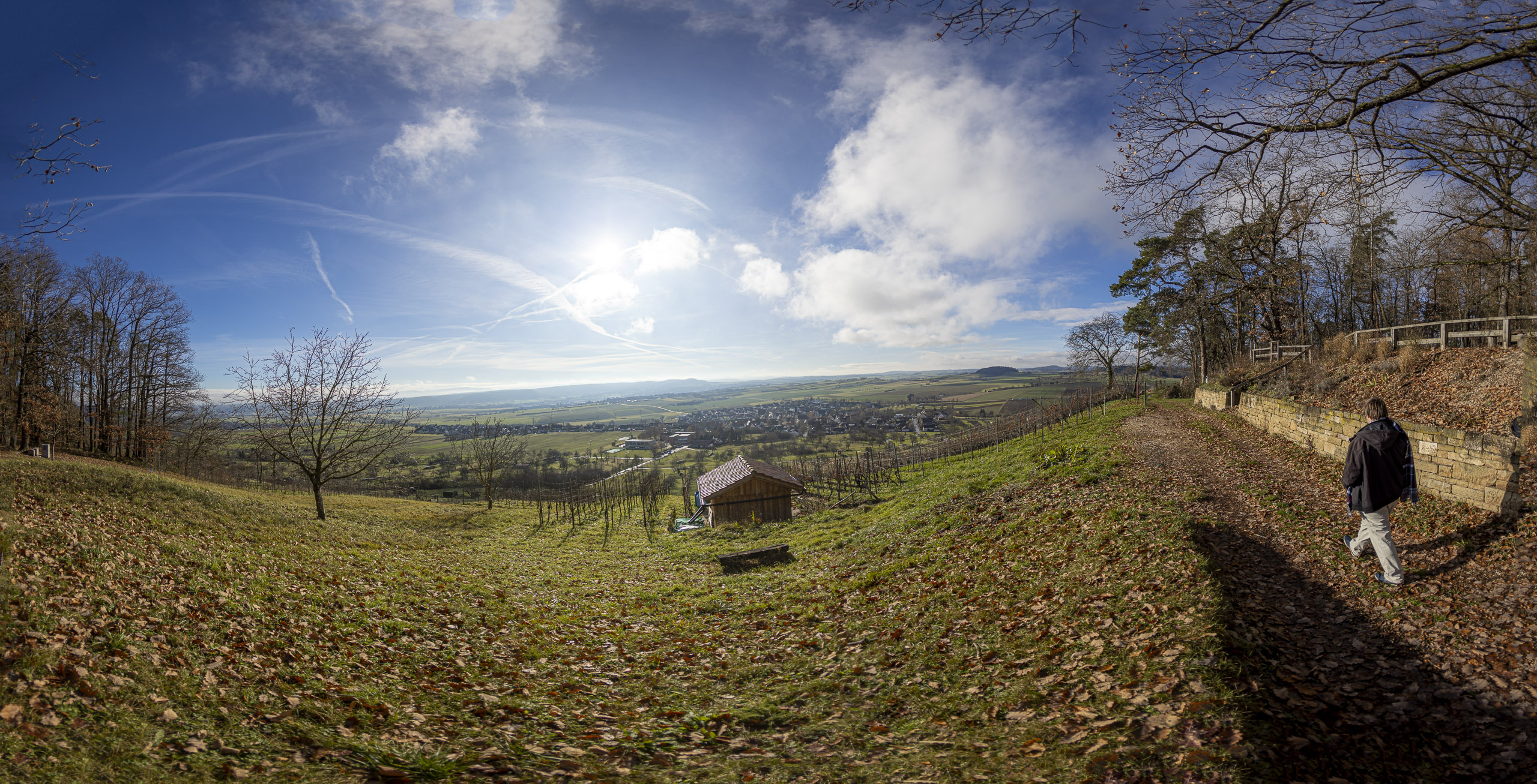 20251129115515 R5D 5445 Pano